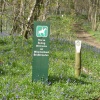 Maulden Woods