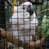 The Jungle Zoo, Cleethorpes, Lincolnshire