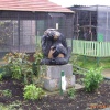 The Jungle Zoo, Cleethorpes, Lincolnshire