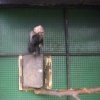 The Jungle Zoo, Cleethorpes, Lincolnshire