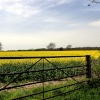 Shillingstone in Dorset