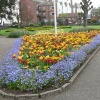 Exmouth Gardens