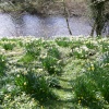 Graveyard, Baslow, Derbyshire