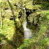 Tranquil waters above the Devil's Cauldron, Lydford Gorge