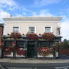 The Golden Lion