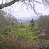 Cotehele garden and view to the distant viaduct