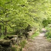 Hurst Green, Lancashire.
