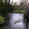 Crossing the Tillingbourne