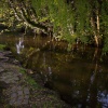 River Tillingbourne near dusk