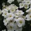 Springtime