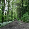 Blandford Forum in Dorset