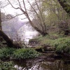 Winston Bridge, Winston, County Durham