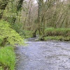 River at Lydford Gorge, Devon