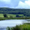 The reserve