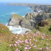 Bedruthan Steps, Cornwall, with thrift in flower on a gorgeous spring day