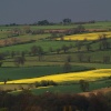 Fields above Chipping Campden