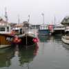 Mevagissey Harbour at evening high tide