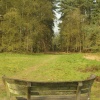 chantry wood