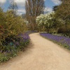 at Wisley garden, Surrey
