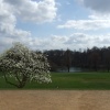 The gardens Kenwood House