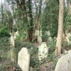 Highgate Cemetery