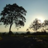 Evening on Windmill Hill, Gravesend