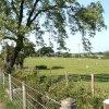Nr. Bishop Thornton. Ripley. North Yorks