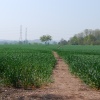 The Staffordshire Way footpath