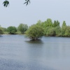 Croxall Lakes
