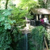 Shanklin Chine