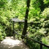 Shanklin Chine