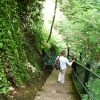 Shanklin Chine