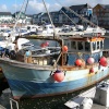 Exmouth Harbour