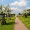 Killerton house