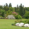 Killerton house gardens