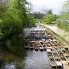 Punts on the Cherwell River