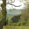Newlands corner