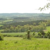 Newlands corner