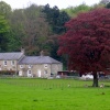 Allen Banks, Northumberland