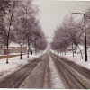 Snow in Bramcote