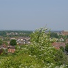 the Cathedral from the Mount