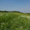 The top of the Mount