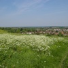 View from the Mount