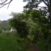Cottage near Ennerdale