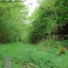 Tilton Railway Cutting