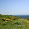 Durlston Country Park, Swanage, Dorset.