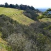 colley hill