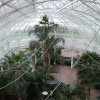 The Winter Gardens Glasgow