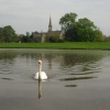 Swan on the lake at Charlecote Park