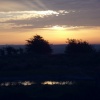 Dawn on the Downs